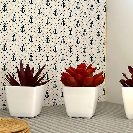 Se079 - Senigallia, Bilocale Con Giardino Vicino Al Mare Senigallia